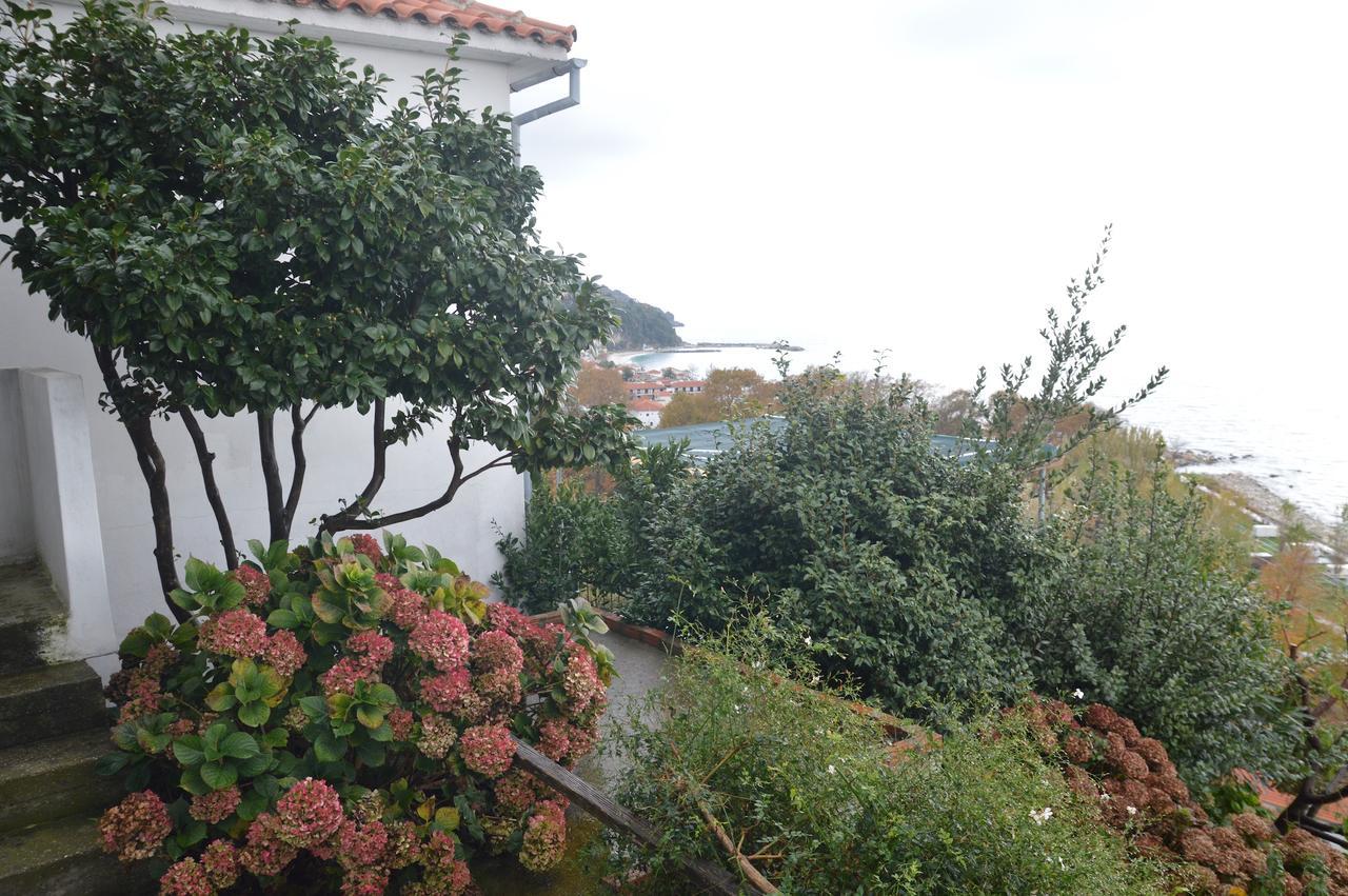 Pelion Orama Διαμέρισμα Άγιος Ιωάννης Εξωτερικό φωτογραφία