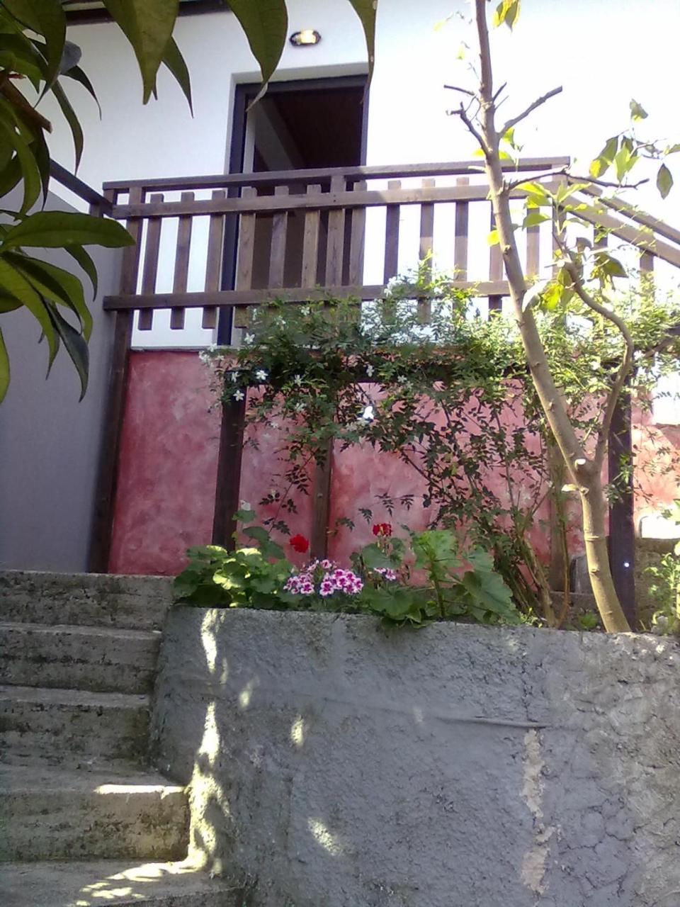 Pelion Orama Διαμέρισμα Άγιος Ιωάννης Εξωτερικό φωτογραφία
